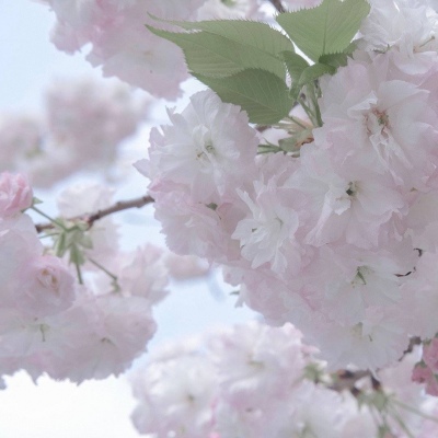 Furry绘画改稿灵感FurryQQ群